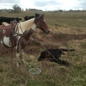 Meet your Posher, Monroe